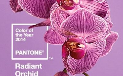 Ragyogó orchidea – 2014-es év pantone színe